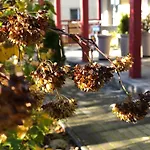 Mr Fox Hotel apartamentowy 3*