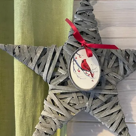 Mr Fox Apartamentų viešbutis Druskininkai