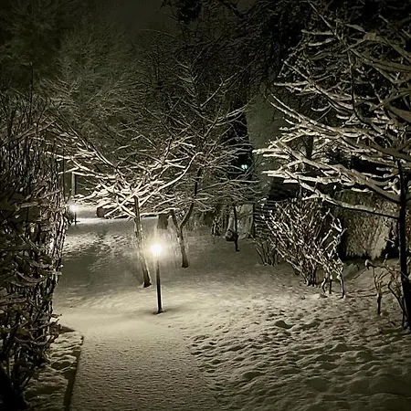 Mr Fox 3* Druskininkai