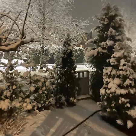 Mr Fox Apartamentų viešbutis