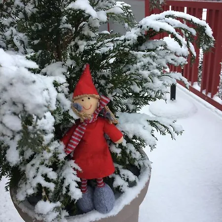 Apartamentų viešbutis Mr Fox Druskininkai