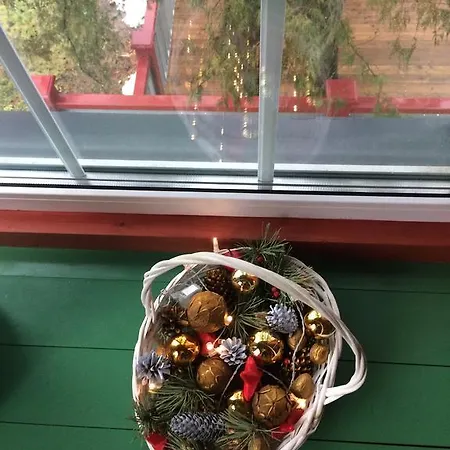 Mr Fox 3* Druskininkai