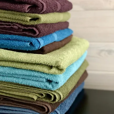 Mr Fox 3* Druskininkai