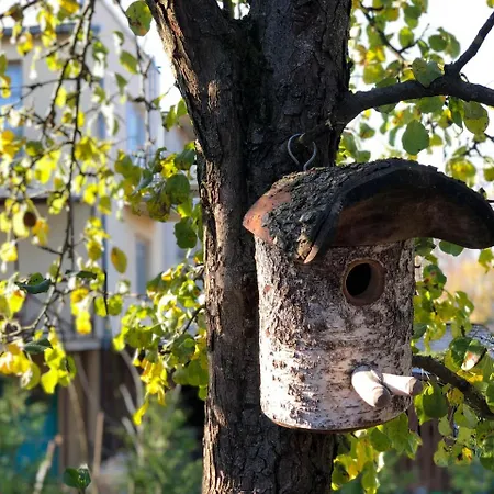 Apartamentų viešbutis Mr Fox 3*