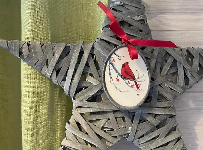 Mr Fox Hotel apartamentowy Druskieniki