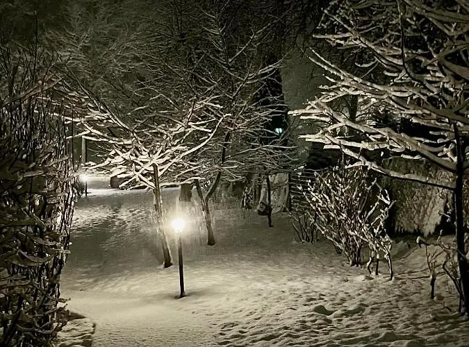 Mr Fox 3* Druskieniki