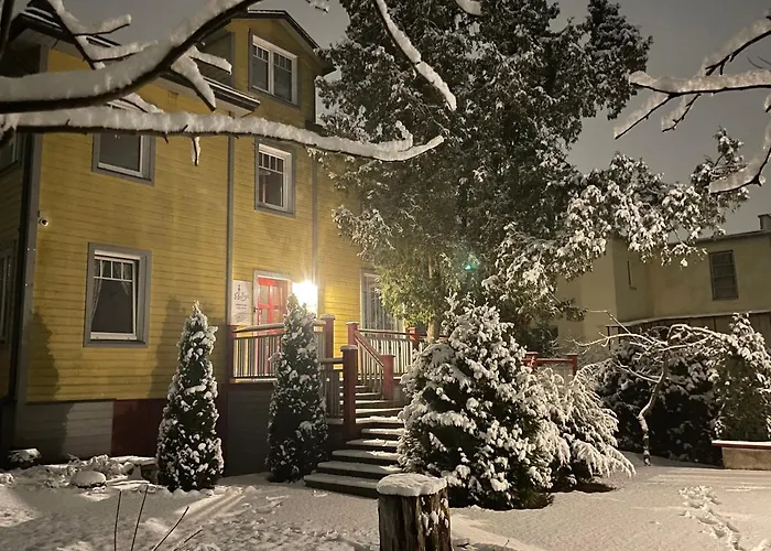 Mr Fox Hotel apartamentowy Druskieniki