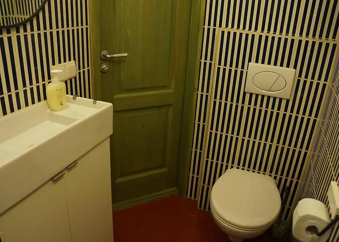 Mr Fox Hotel apartamentowy Druskieniki