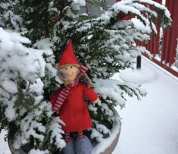 Hotel apartamentowy Mr Fox Druskieniki