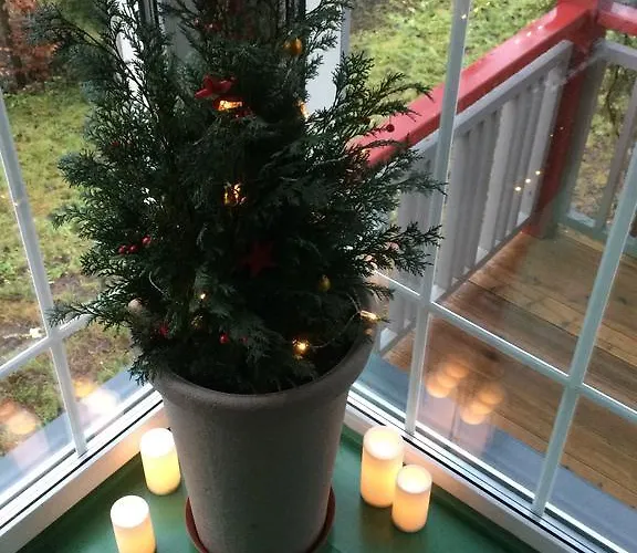 Mr Fox Hotel apartamentowy Druskieniki