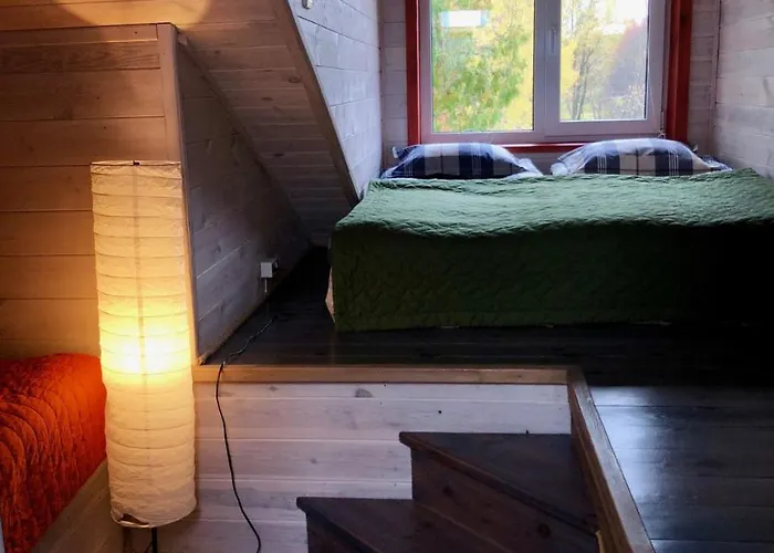 Mr Fox Hotel apartamentowy Druskieniki