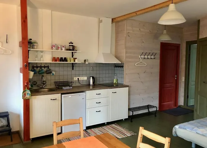 Mr Fox Hotel apartamentowy Druskieniki