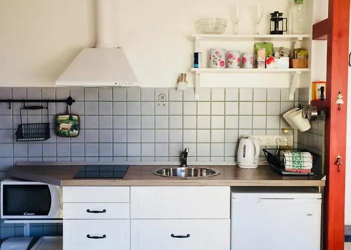 Mr Fox 3* Druskieniki