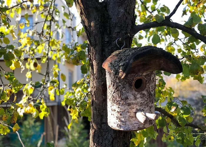 Hotel apartamentowy Mr Fox 3*