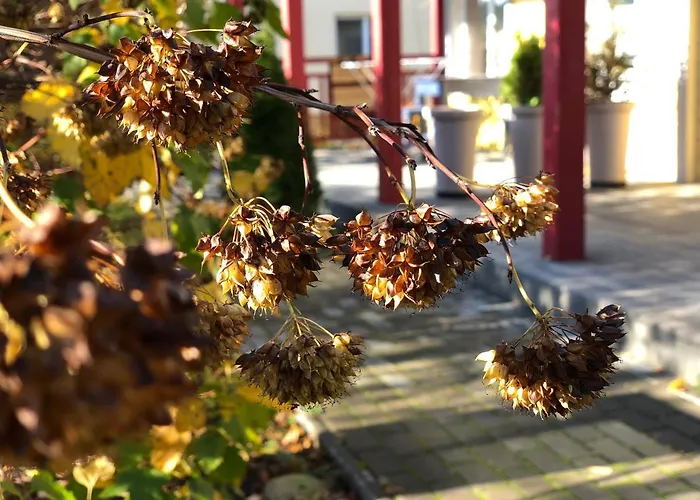 Mr Fox Aparthotel 3*