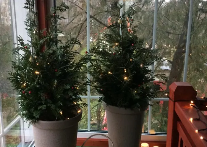 Mr Fox Hotel apartamentowy